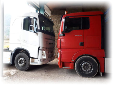 Camions Volvo et Man